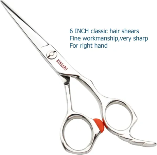 61ScV 8TIhL._AC_SL1500_