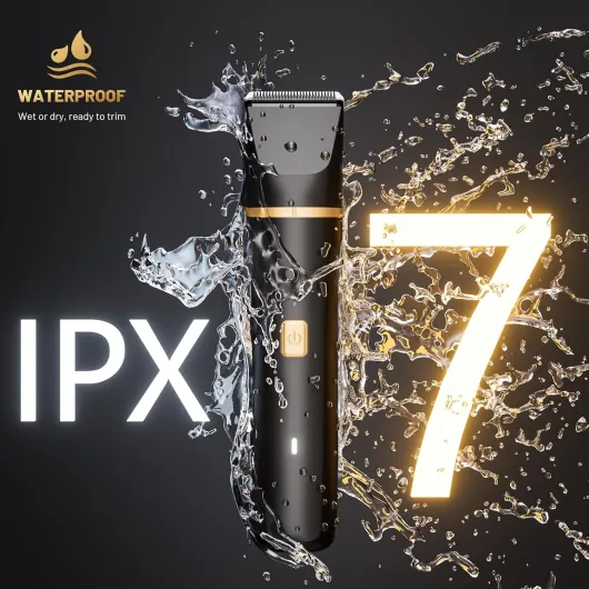 81byxFMZtdL._AC_SL1500_