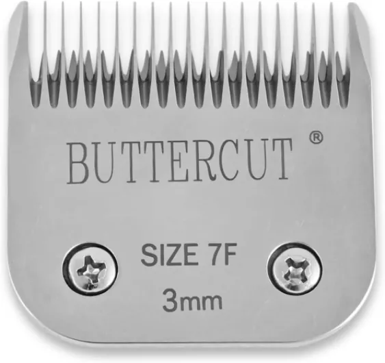 61DE9aoMYuL._AC_SL1500_