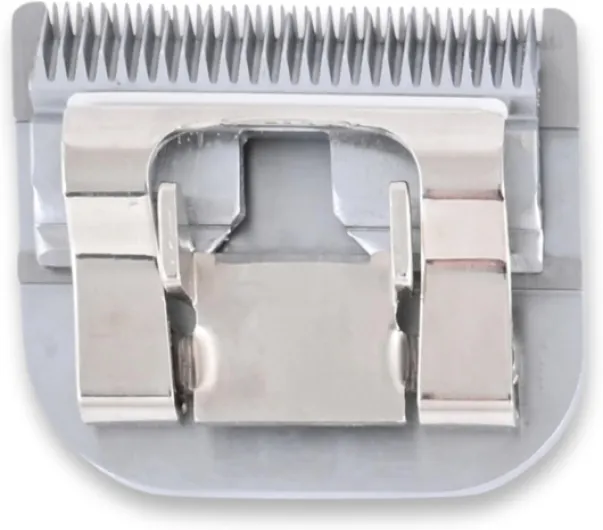 715mI8 fLAL._AC_SL1500_