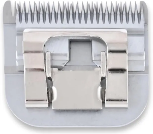 71k6hl7kWfL._AC_SL1500_