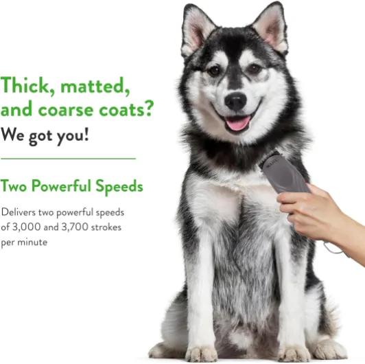 81ndlakD30L._AC_SL1500_