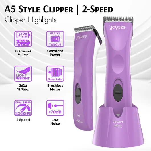 71GcgNv2okL._AC_SL1500_