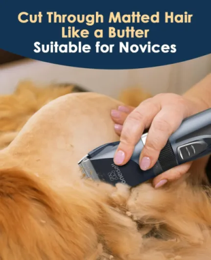 715vyCaxZEL._AC_SL1500_