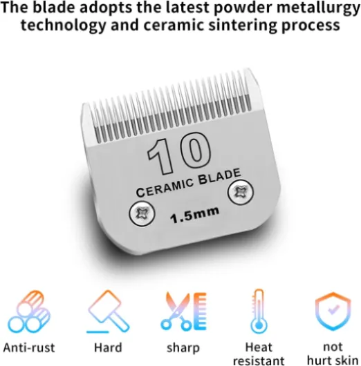 61BKXh70bbL._AC_SL1500_