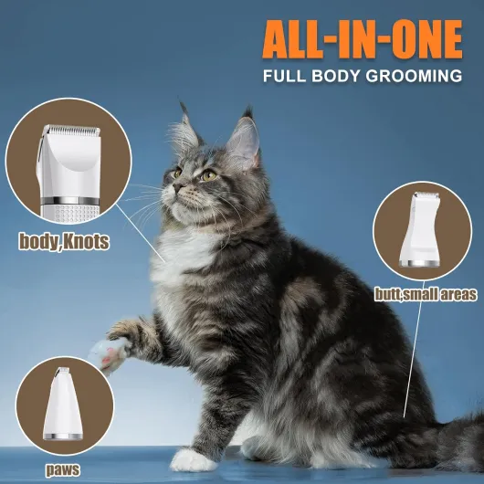 71tuqbKWuLL._AC_SL1500_