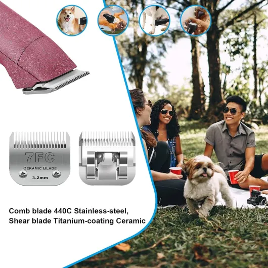 81nbxWt f9L._AC_SL1500_