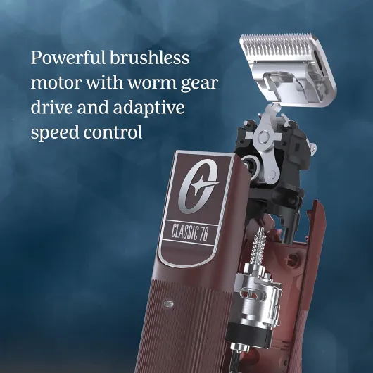 81OLyBWXUTL._AC_SL1500_