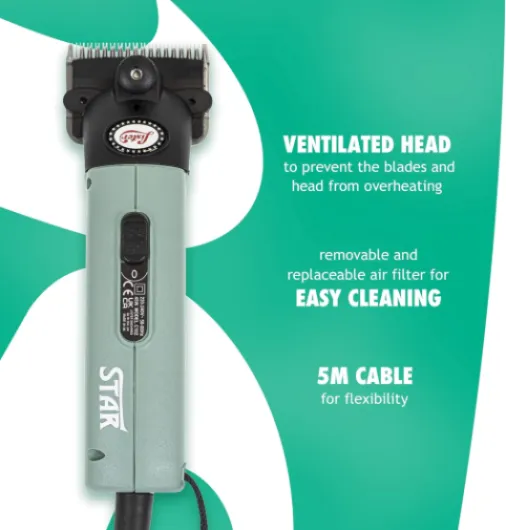 71tVt7RxqlL._AC_SL1500_