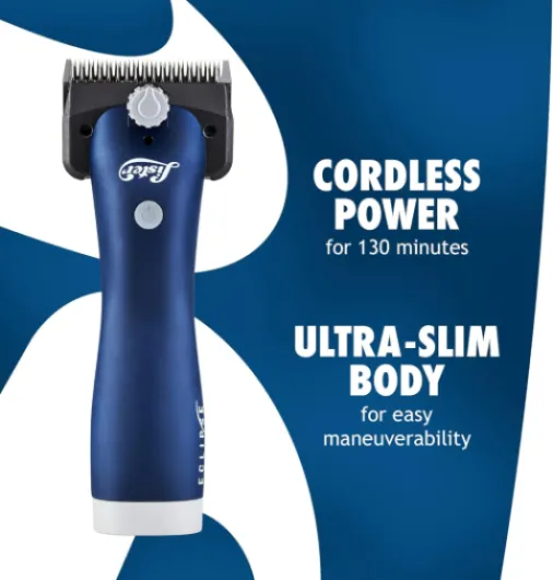 71RrJ8QjszL._AC_SL1500_