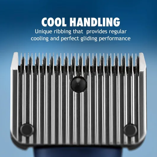 81DLpwJQziL._AC_SL1500_