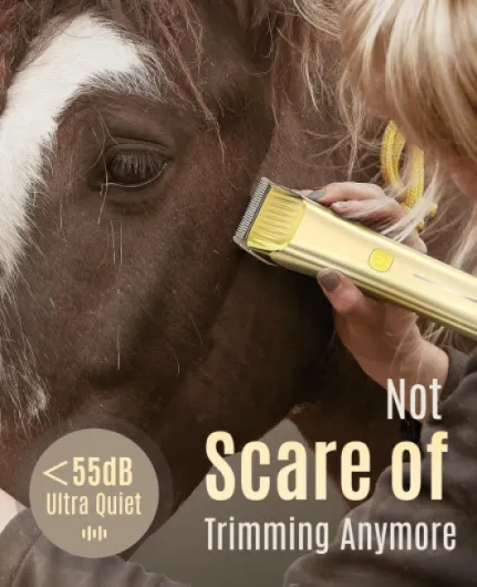 81qxzluTJaL._AC_SL1500_