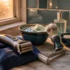 Wet Shaving with an Electric Razor: When It Helps and When It's a Gimmick