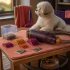How integrated vacuum clippers for dogs transform home grooming routines